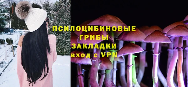 гидропоника Белоозёрский