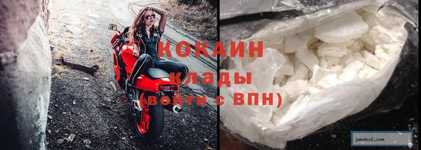 крисы Слюдянка